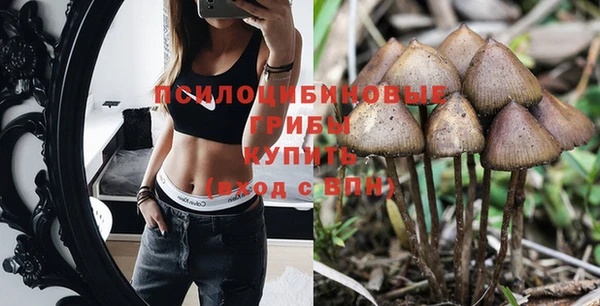дурь Баксан