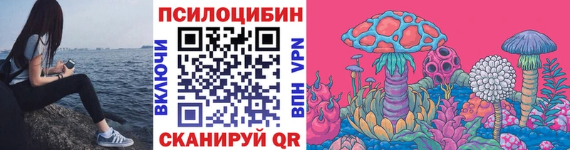 Галлюциногенные грибы GOLDEN TEACHER  купить закладку  Лыткарино 
